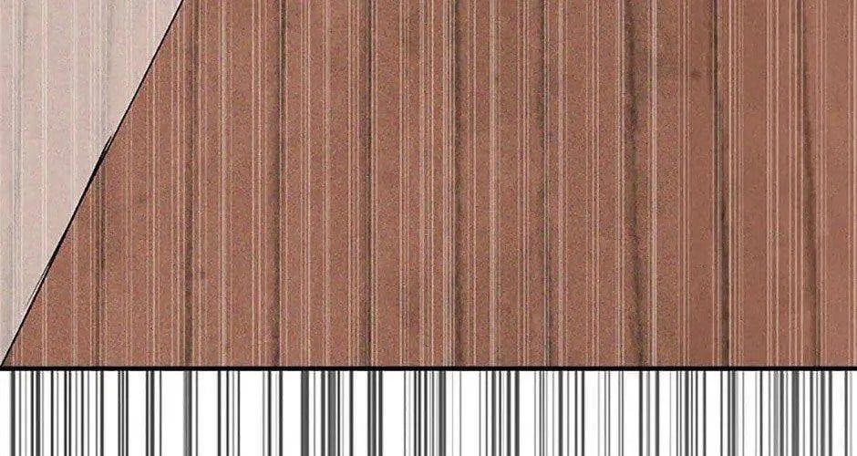 Chiền Thần Tự Sát Hồi Quy - Chương 113 - Trang 259