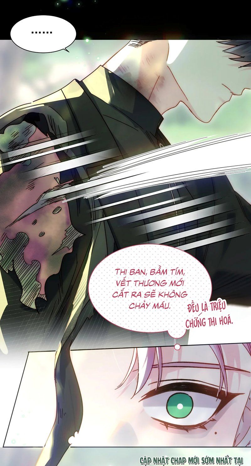 Tôi Phải Làm Một Kẻ Đại Xấu Xa - Chương 190 - Trang 17