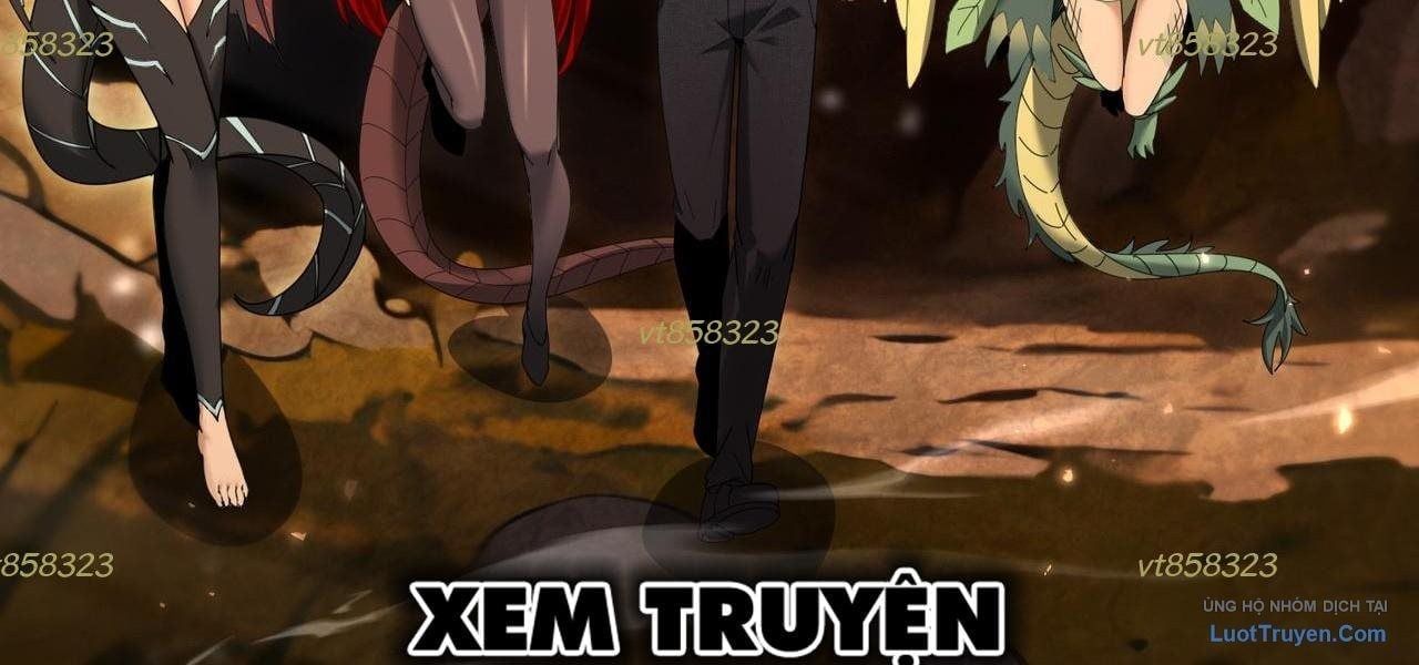 Toàn Dân Chuyển Chức: Ngự Long Sư Là Chức Nghiệp Yếu Nhất? - Chương 177 - Trang 232