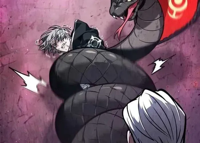 Mạo Hiểm Giả Cuối Cùng - Chương 93 - Trang 208