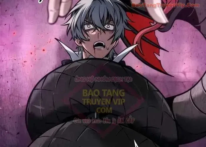 Mạo Hiểm Giả Cuối Cùng - Chương 93 - Trang 225