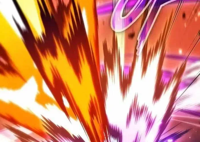 Mạo Hiểm Giả Cuối Cùng - Chương 93 - Trang 252