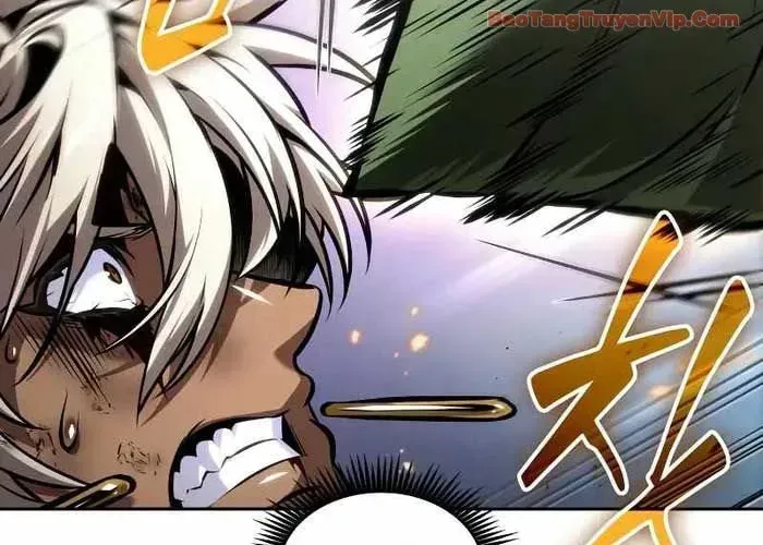 Mạo Hiểm Giả Cuối Cùng - Chương 93 - Trang 97