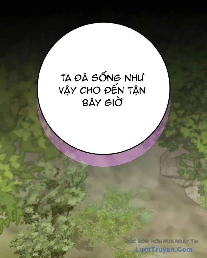 Chuyển Sinh Thành Thiên Tài Xuất Chúng Của Danh Môn Thế Gia - Chương 63 - Trang 20