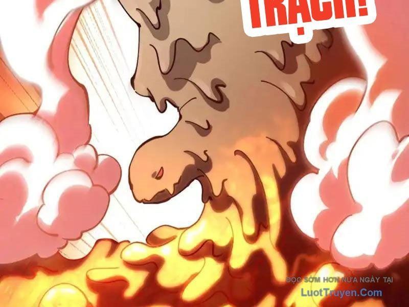 Toàn Cầu Ngự Thú: Ta Có Thể Thấy Lộ Tuyến Tiến Hoá - Chương 45 - Trang 44