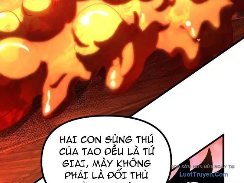 Toàn Cầu Ngự Thú: Ta Có Thể Thấy Lộ Tuyến Tiến Hoá - Chương 45 - Trang 45