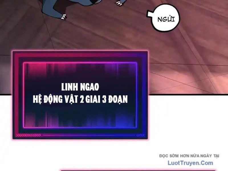 Toàn Cầu Ngự Thú: Ta Có Thể Thấy Lộ Tuyến Tiến Hoá - Chương 45 - Trang 10