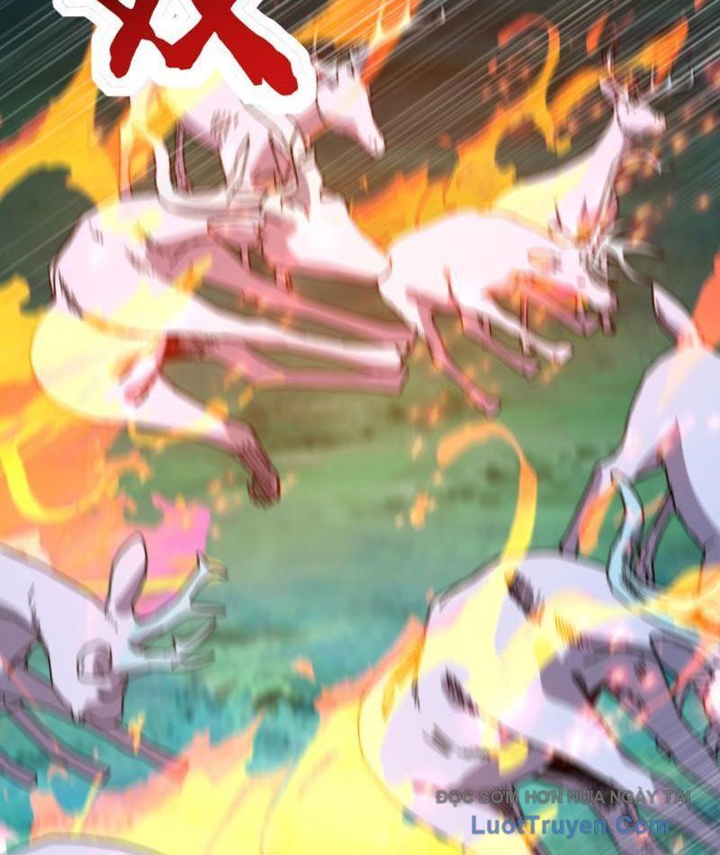 Bắt Đầu Chuyển Chức Tài Thần, Ta Chuyển Hóa Triệu Vạn Thần Sủng - Chương 52 - Trang 13