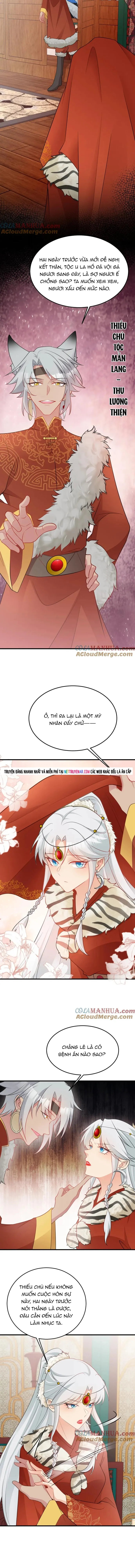 Hệ Thống Siêu Cấp Trà Xanh - Chương 56 - Trang 3