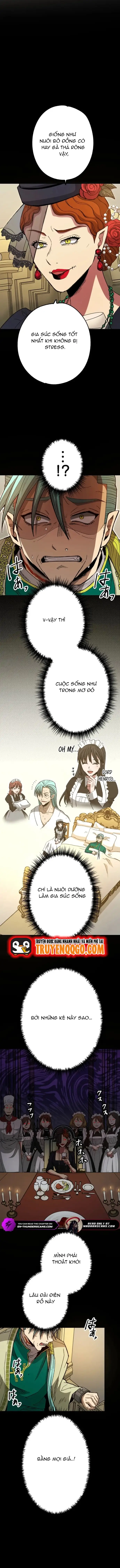 Thợ Săn Hồi Quy Giả - Chương 24 - Trang 10