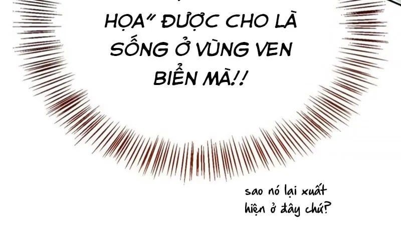 Healer Cấp S Chữa Trị Cho Quái Vật - Chương 19 - Trang 15