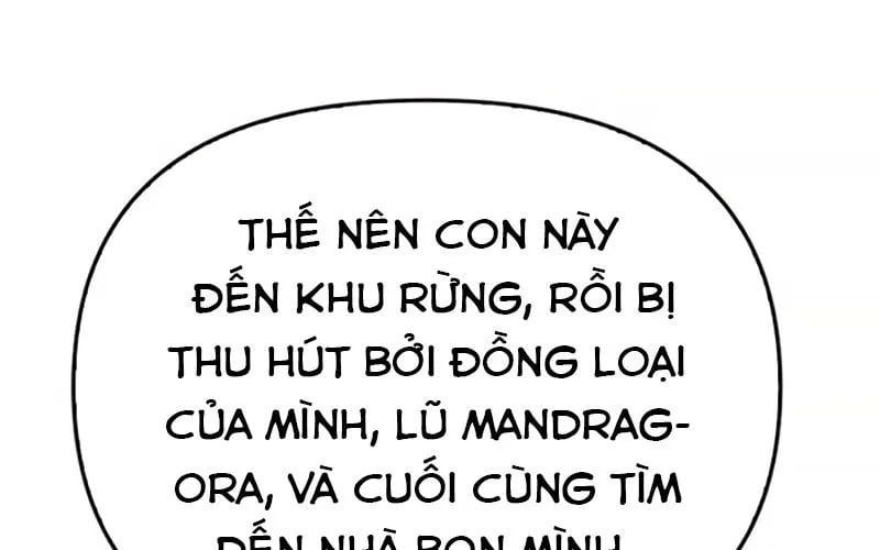 Healer Cấp S Chữa Trị Cho Quái Vật - Chương 19 - Trang 164