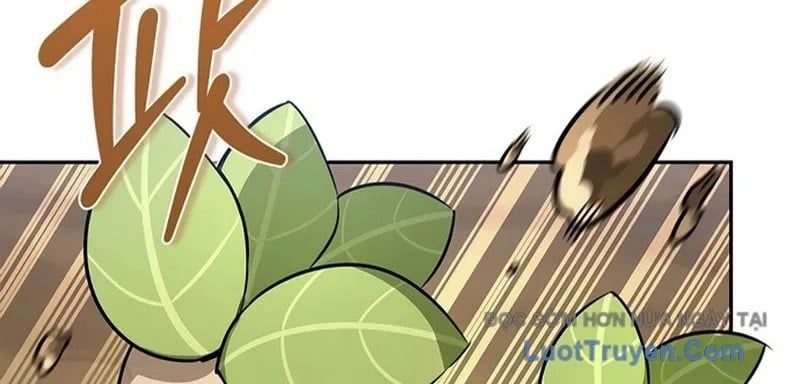 Healer Cấp S Chữa Trị Cho Quái Vật - Chương 19 - Trang 212