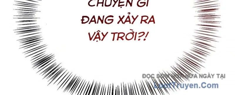 Healer Cấp S Chữa Trị Cho Quái Vật - Chương 19 - Trang 8