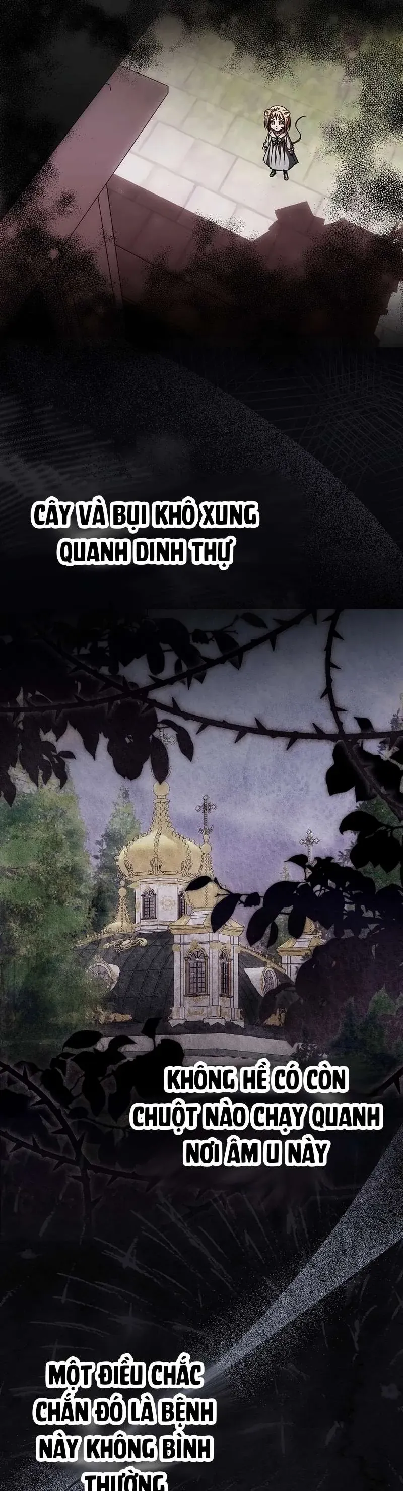 Chuột Đồng Này Sẽ Đưa Lọ Lem Đi - Chương 23 - Trang 31