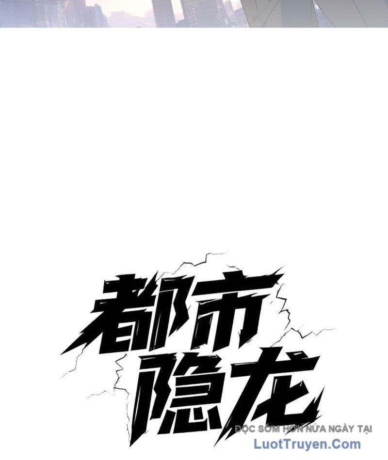 Ẩn Long Đô Thị - Chương 16 - Trang 19