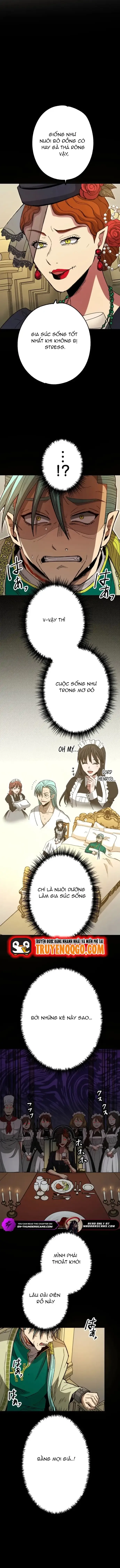 Phế Vật Thợ Săn Trùng Sinh - Chương 24 - Trang 10