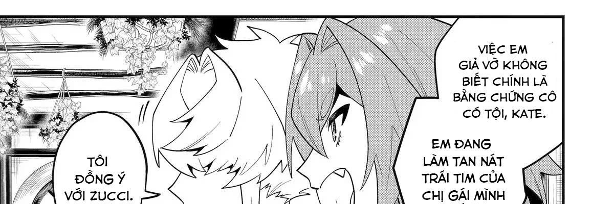 Pháp Sư Mạnh Nhất Dùng Sách Chiến Lược, Tự Mình Tiêu Diệt Ma Vương - Chương 68 - Trang 26