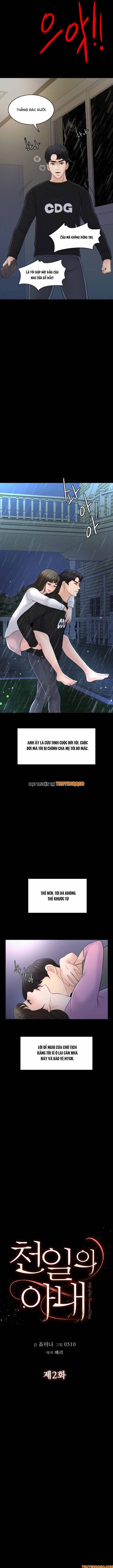 Người Vợ Ngàn Ngày  Remake - Chương 2 - Trang 4