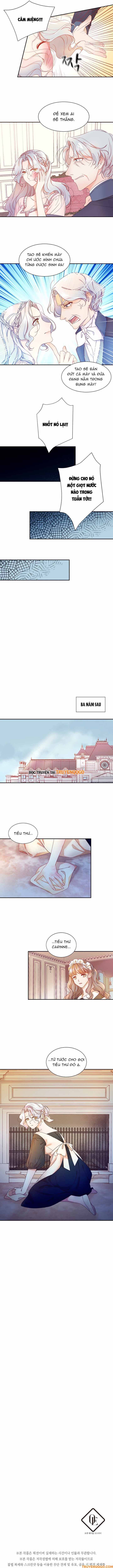 Tôi Đã Sinh Con Cho Kẻ Sát Nhân - Chương 2 - Trang 7