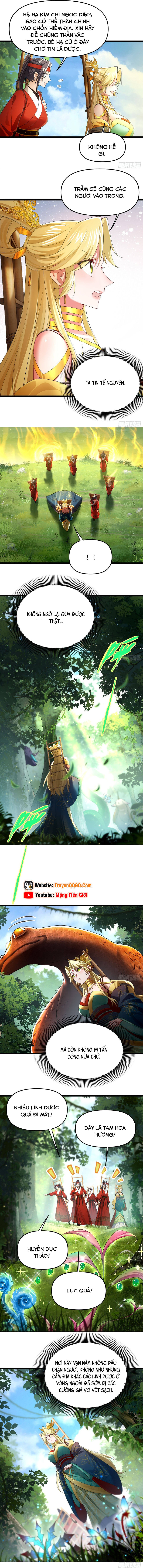 Kim Đan Là Hằng Tinh, Ngươi Gọi Đây Là Tu Tiên À? - Chương 8 - Trang 4