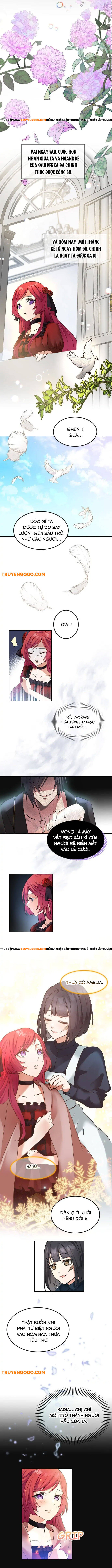 Vũ Khí Báo Thù, Giọt Lệ Tẩm Độc - Chương 2 - Trang 8