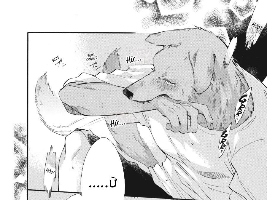 Kimi To Koete Koi Ni Naru - Chương 3 - Trang 4