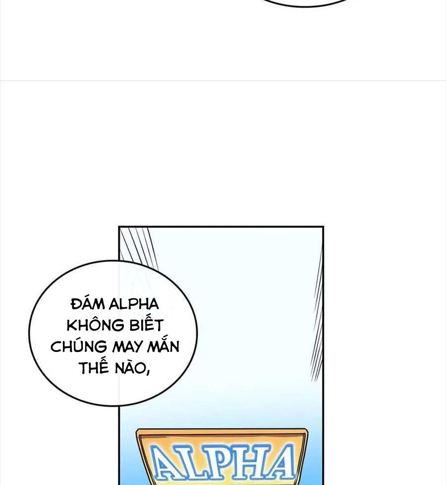 Phép Thuật Của Người Trở Về Phải Đặc Biệt - Chương 15 - Trang 11