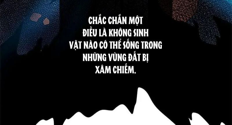 Phép Thuật Của Người Trở Về Phải Đặc Biệt - Chương 2 - Trang 116