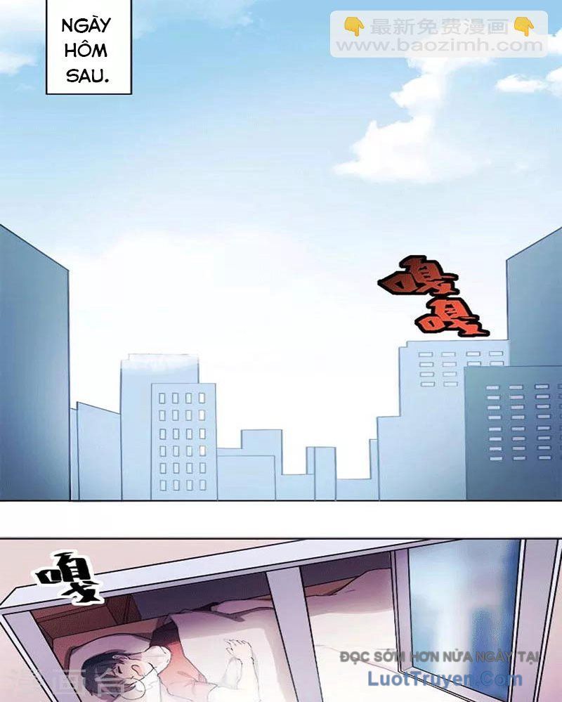 Con Rể Của Các Vị Thần - Chương 2 - Trang 3