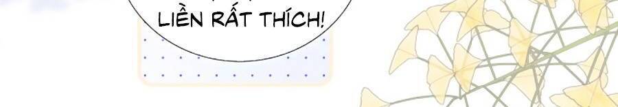 Chạy Trốn Cùng Con Nhím - Chương 81.5 - Trang 10