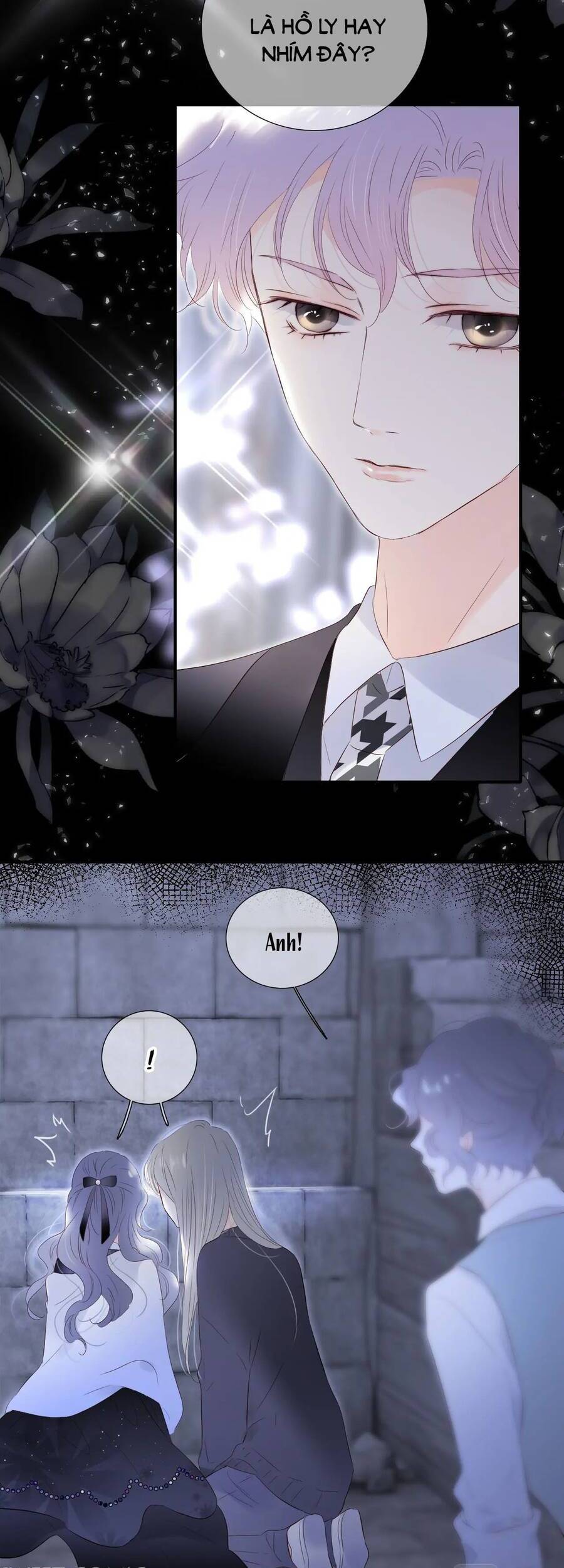 Chạy Trốn Cùng Con Nhím - Chương 82 - Trang 21