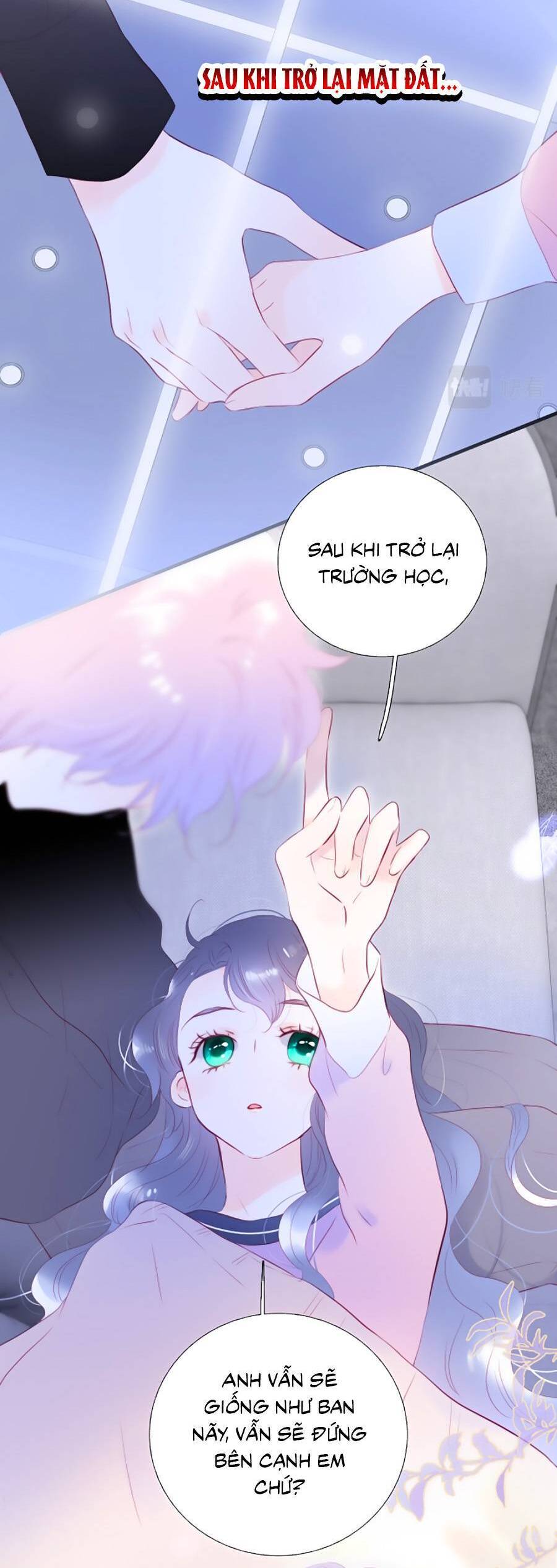 Chạy Trốn Cùng Con Nhím - Chương 85 - Trang 25