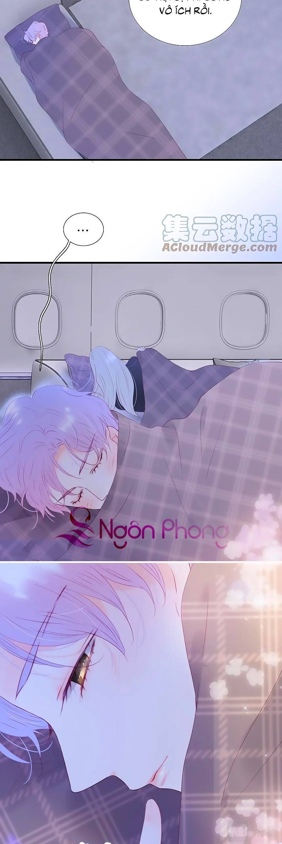 Chạy Trốn Cùng Con Nhím - Chương 86 - Trang 3