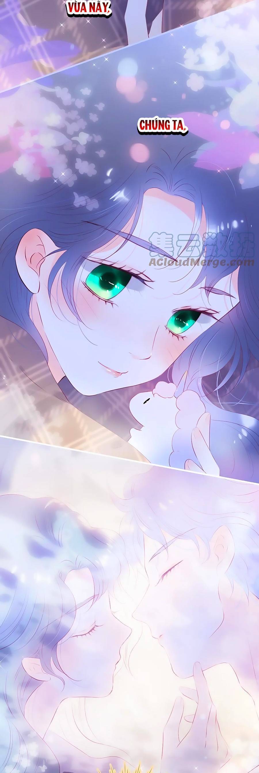 Chạy Trốn Cùng Con Nhím - Chương 86 - Trang 4