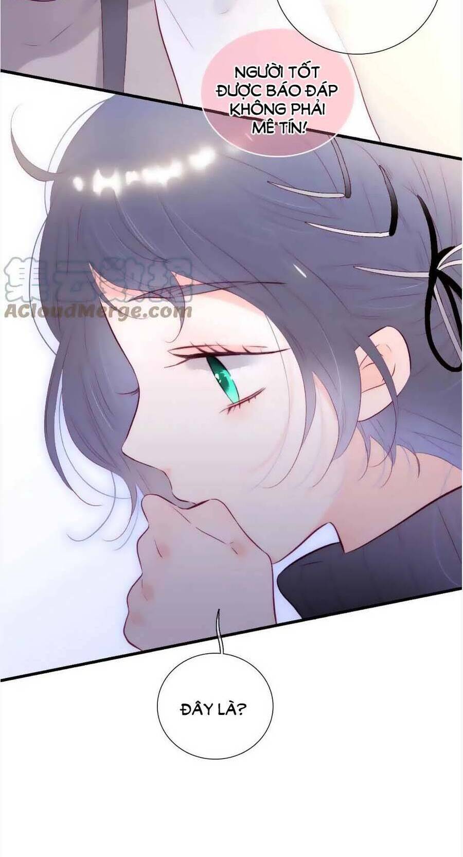 Chạy Trốn Cùng Con Nhím - Chương 89 - Trang 6