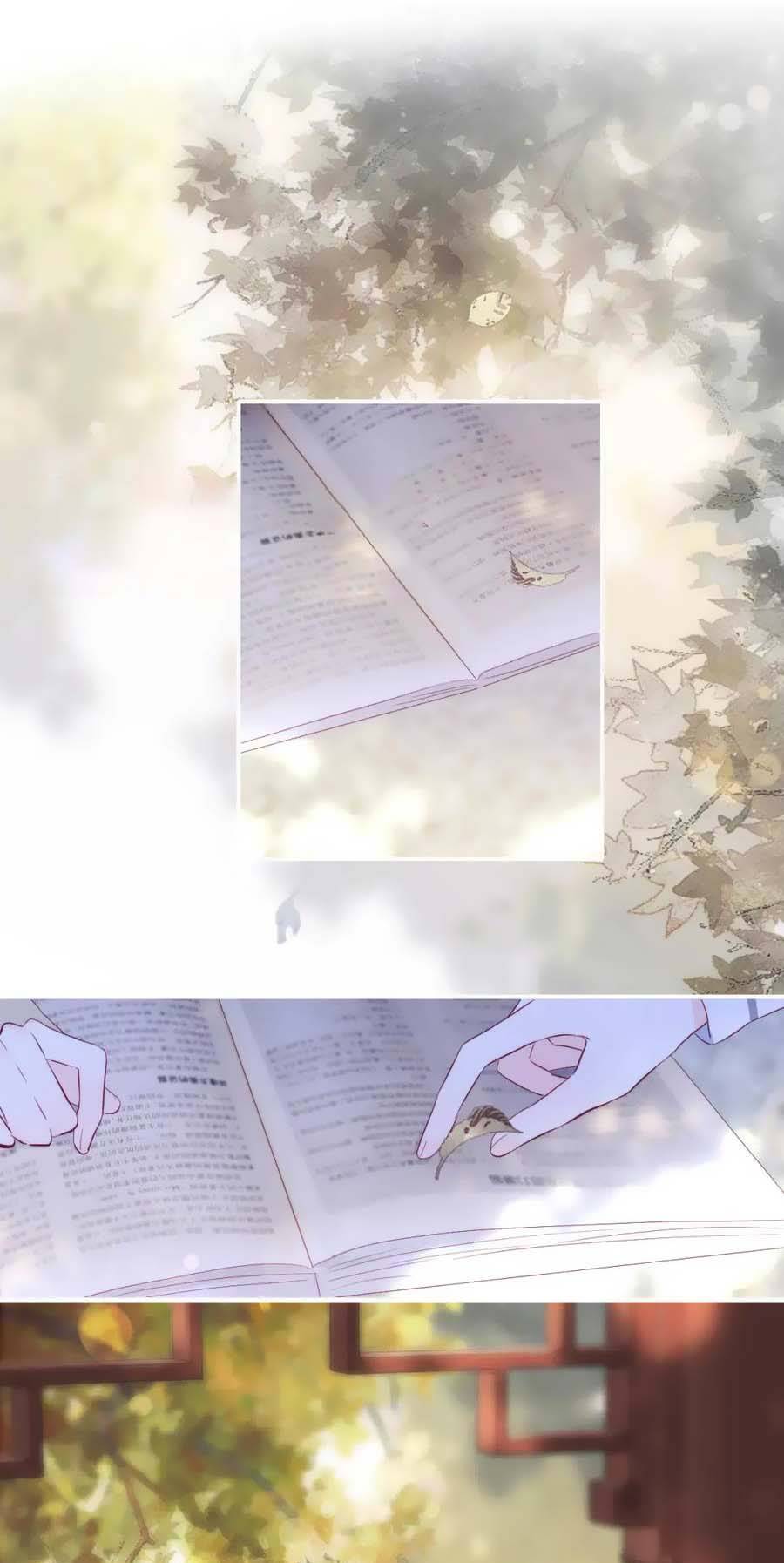 Chạy Trốn Cùng Con Nhím - Chương 92 - Trang 2