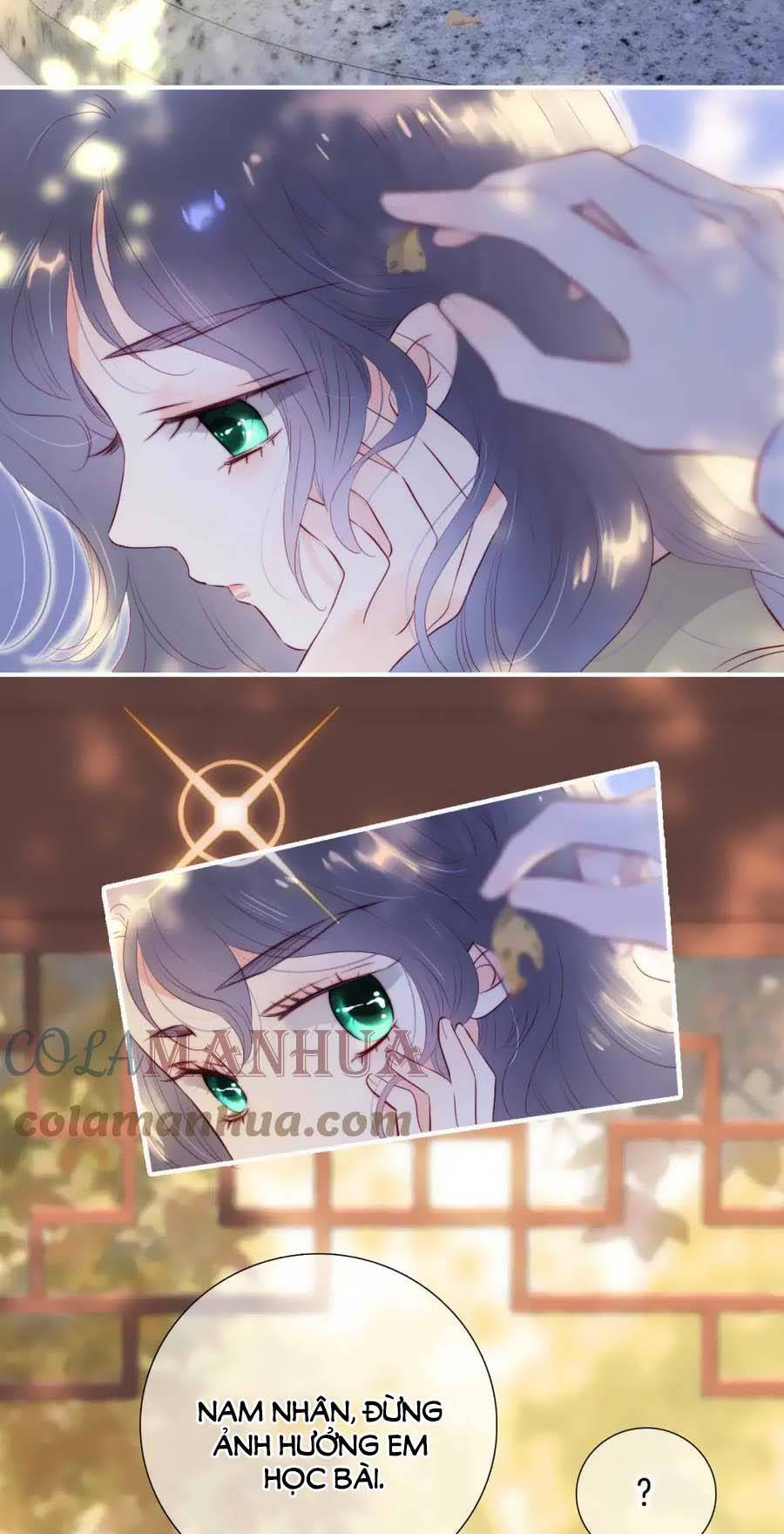 Chạy Trốn Cùng Con Nhím - Chương 92 - Trang 4