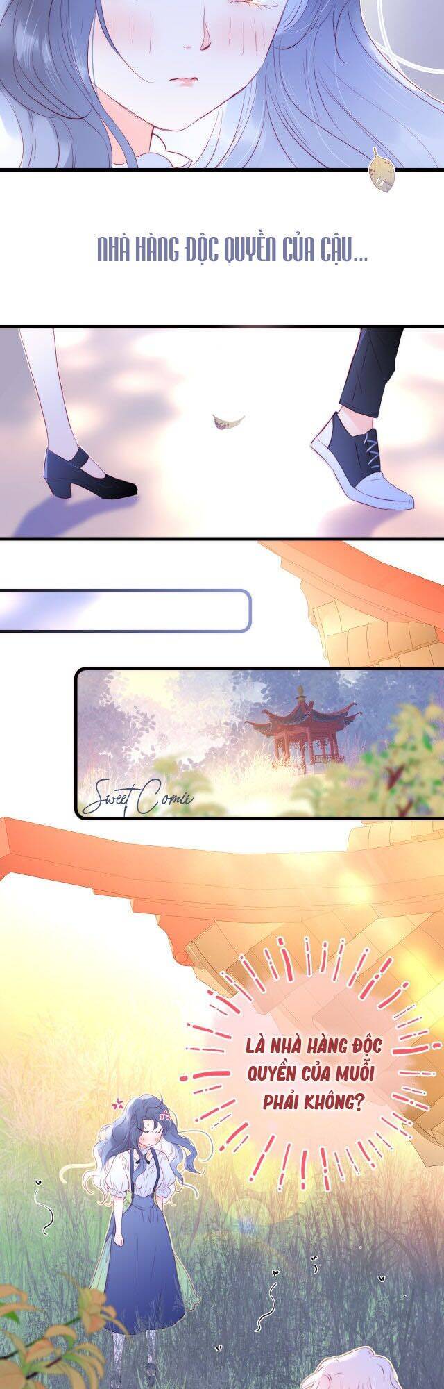 Chạy Trốn Cùng Con Nhím - Chương 10 - Trang 2