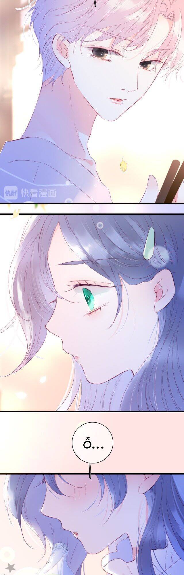 Chạy Trốn Cùng Con Nhím - Chương 10 - Trang 11