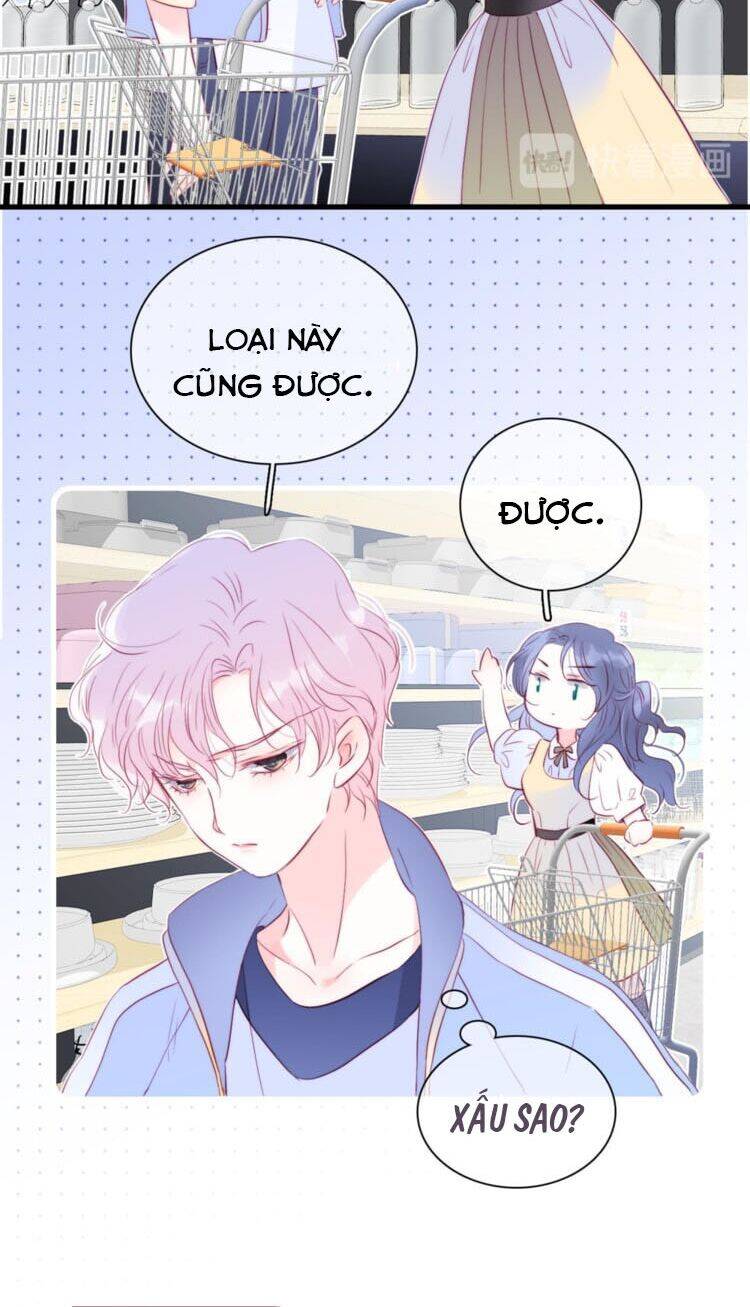 Chạy Trốn Cùng Con Nhím - Chương 13 - Trang 24