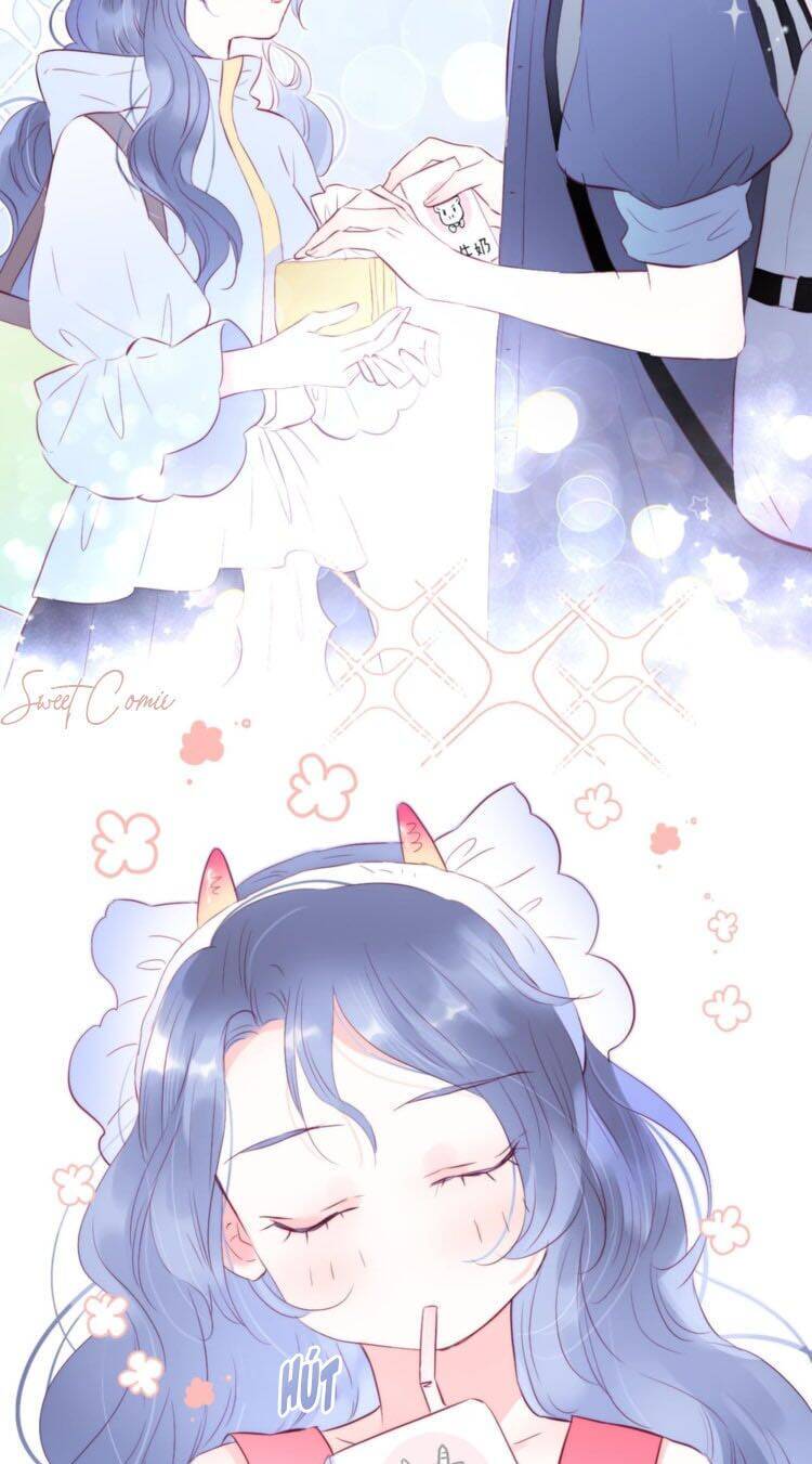 Chạy Trốn Cùng Con Nhím - Chương 13 - Trang 5