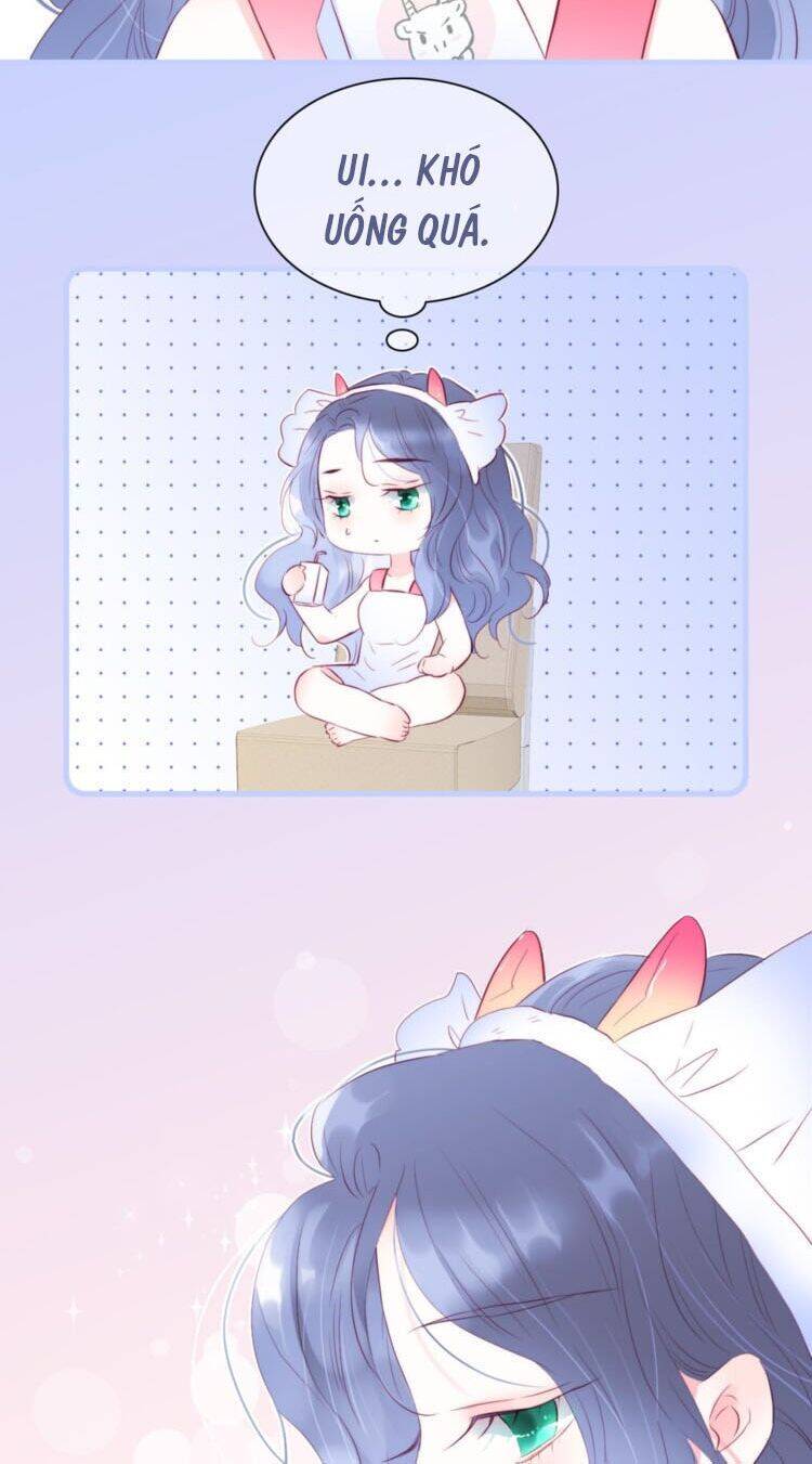 Chạy Trốn Cùng Con Nhím - Chương 13 - Trang 6