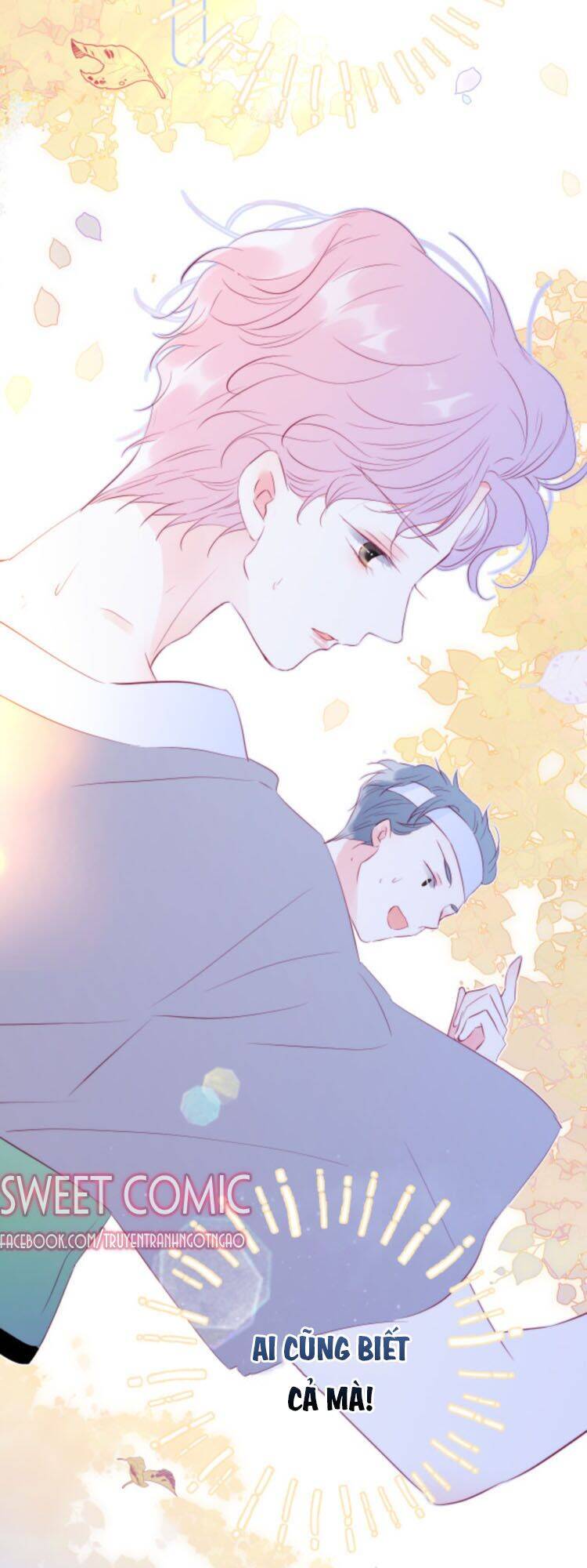 Chạy Trốn Cùng Con Nhím - Chương 15 - Trang 21