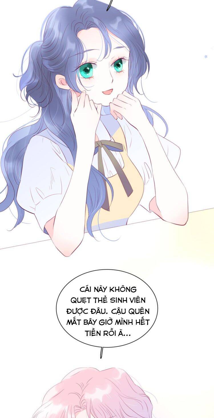 Chạy Trốn Cùng Con Nhím - Chương 15 - Trang 7