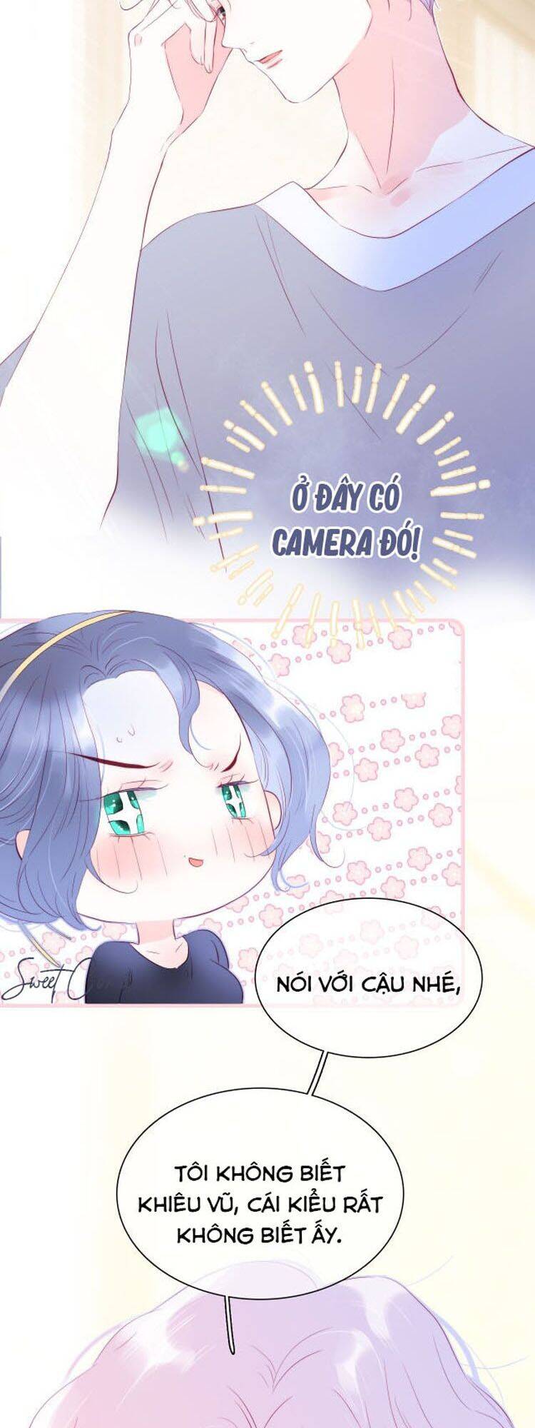 Chạy Trốn Cùng Con Nhím - Chương 16 - Trang 11