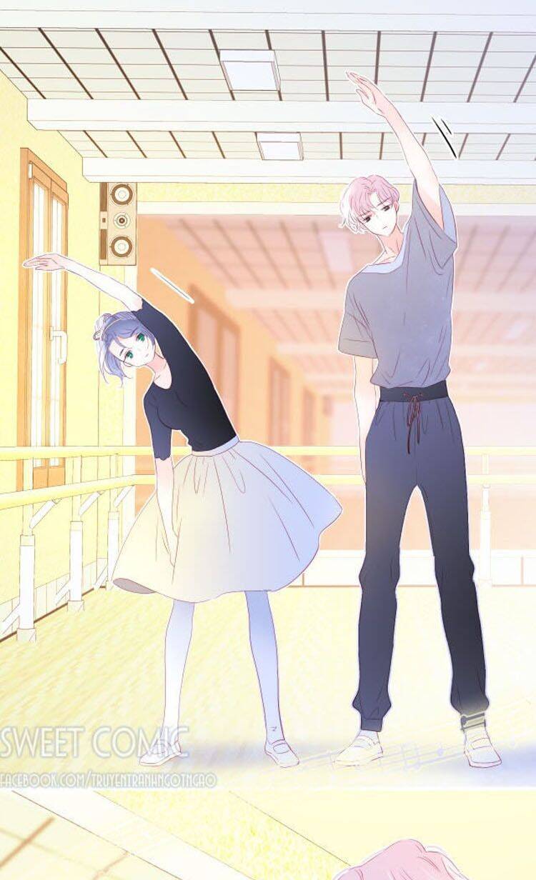 Chạy Trốn Cùng Con Nhím - Chương 16 - Trang 17