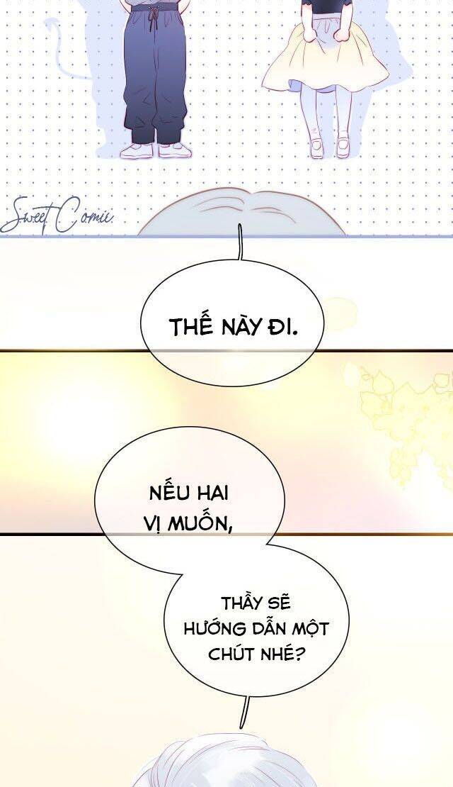 Chạy Trốn Cùng Con Nhím - Chương 17 - Trang 3