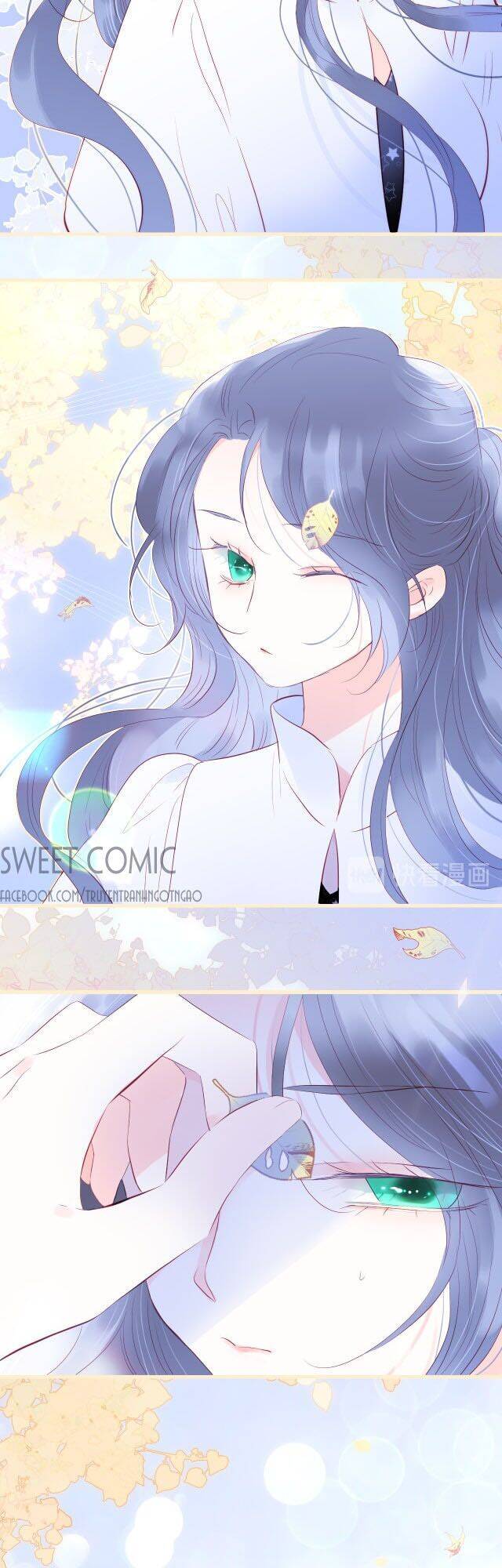 Chạy Trốn Cùng Con Nhím - Chương 18 - Trang 28