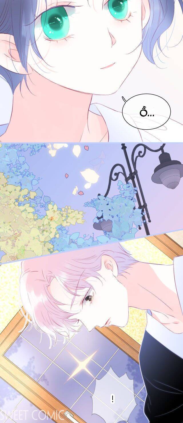 Chạy Trốn Cùng Con Nhím - Chương 19 - Trang 19